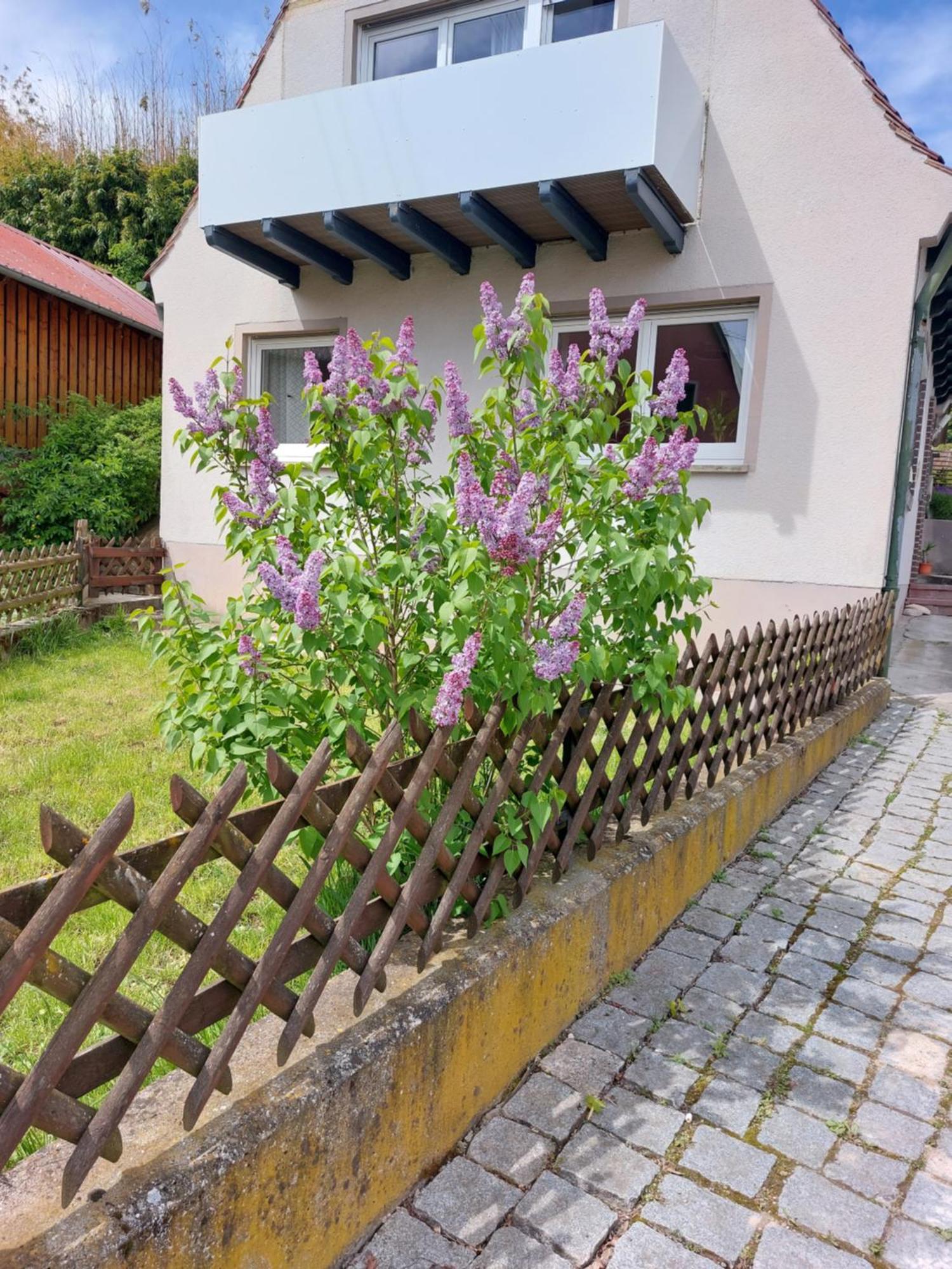 Sehr Beliebt! Ferienhaus Zur Donau Herbertingen Exterior photo